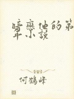 暗恋他的第十一年小说