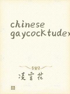 chinesegaycocktudexxx