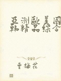 亚洲欧美国产日韩精品综合在线