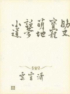 小说萌宝助攻霸道爹地宠又撩