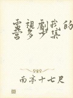 电视剧我的特一营多少集