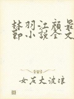 林羽江颜最新章节小说全文免费阅读