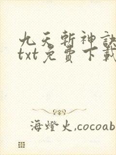 九天斩神诀林辰txt免费下载