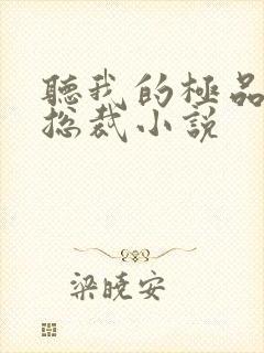 听我的极品美女总裁小说