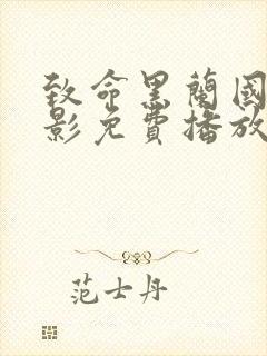 致命黑兰国语电影免费播放封面