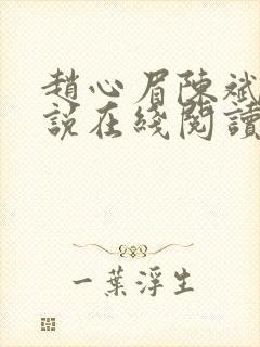 赵心眉陈斌的小说在线阅读封面