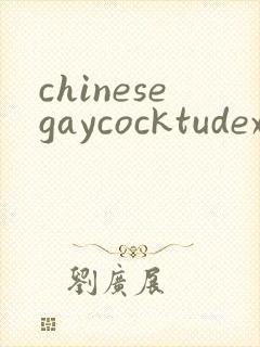 chinesegaycocktudexxx