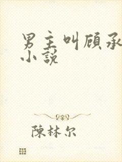 男主叫顾承泽的小说