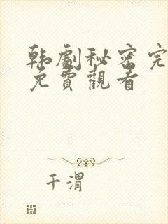 韩剧秘密完整版免费观看封面