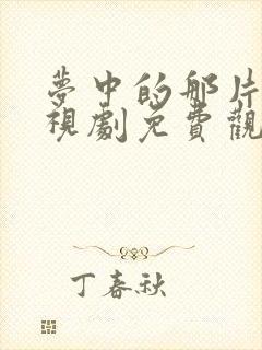 梦中的那片海电视剧免费观看.封面