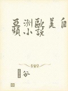 亚洲欧美自拍视频小说