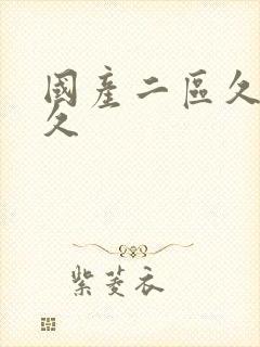 国产二区久久久久