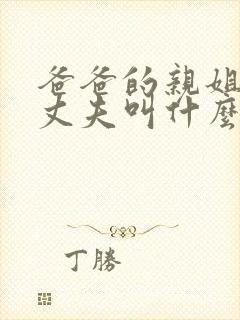爸爸的亲姐姐的丈夫叫什么封面