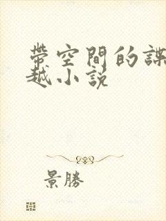 带空间的谍战穿越小说