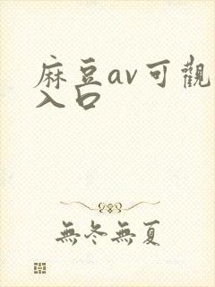 麻豆av可观看入口