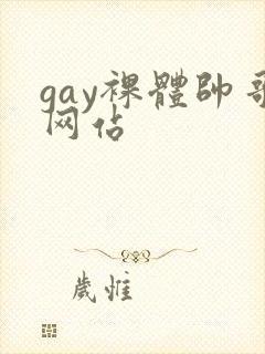 gay裸体帅哥网站