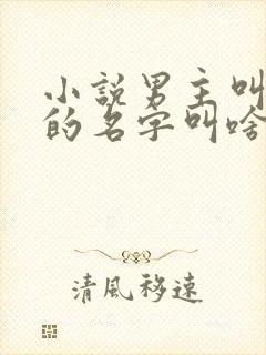 小说男主叫苏明的名字叫啥封面