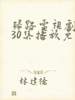 归路电视剧全集30集播放免费观看