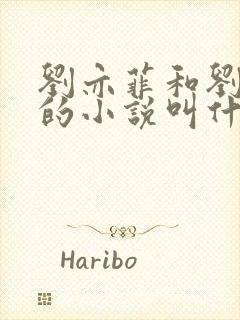 刘亦菲和刘晓莉的小说叫什么名字