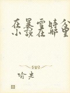 在暴雪时分原著小说在哪里看