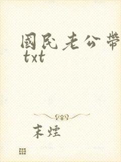 国民老公带回家 txt