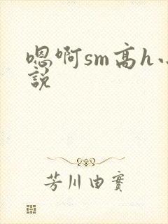 嗯啊sm高h小说