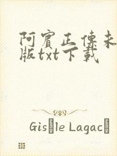 阿宾正传未删减版txt下载