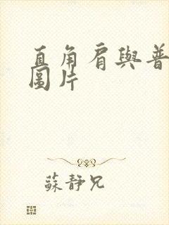 直角肩与普通肩图片