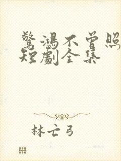 惊鸿不曾照影来短剧全集