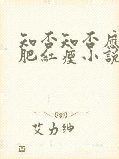 知否知否应是绿肥红瘦小说原著封面