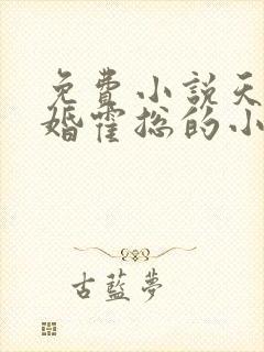 免费小说天价宠婚霍总的小娇妻