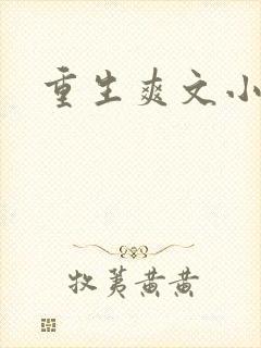 重生爽文小说封面