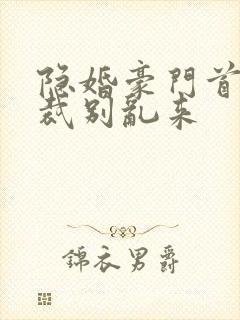 隐婚豪门首席总裁别乱来