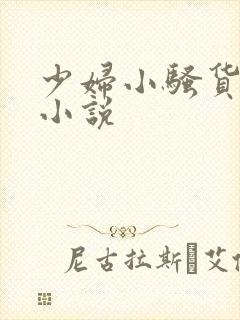 少妇小骚货系列小说