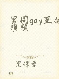 男同gay互插视频