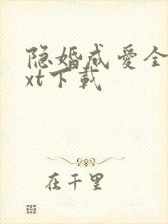 隐婚成爱全本txt下载封面