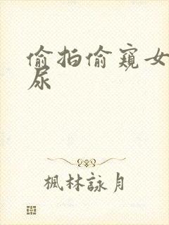 偷拍偷窥女人尿尿封面