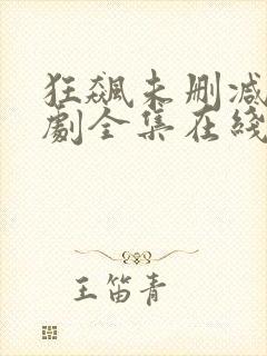 狂飙未删减电视剧全集在线观看高清