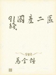 91国产二区在线