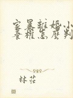 家暴离婚小孩抚养权怎么判