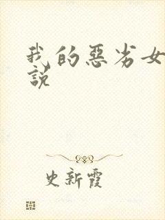我的恶劣女友小说封面