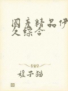 国产精品伊人久久综合