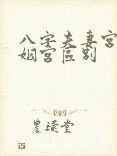 八字夫妻宫和婚姻宫区别