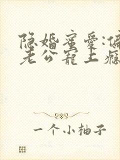 隐婚蜜爱:偏执老公宠上瘾电子书封面