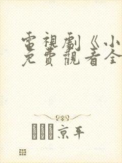 电视剧《小舅》免费观看全集高清