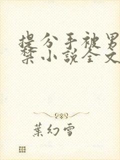 提分手被男友囚禁小说全文免费阅读