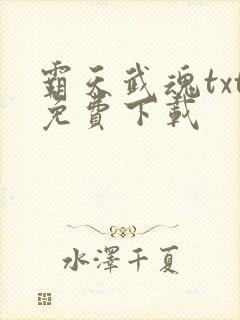 霸天武魂txt免费下载封面