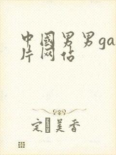 中国男男gay片网站封面