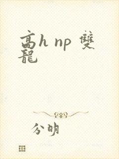 高h np 双龙