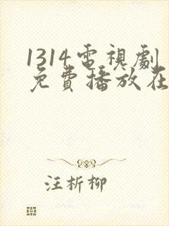 1314电视剧免费播放在线观看